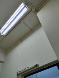 Hong Lim Complex (D1), Office #394887741